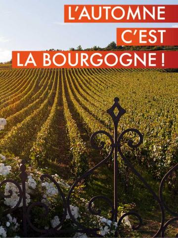 L'Automne c'est la Bourgogne