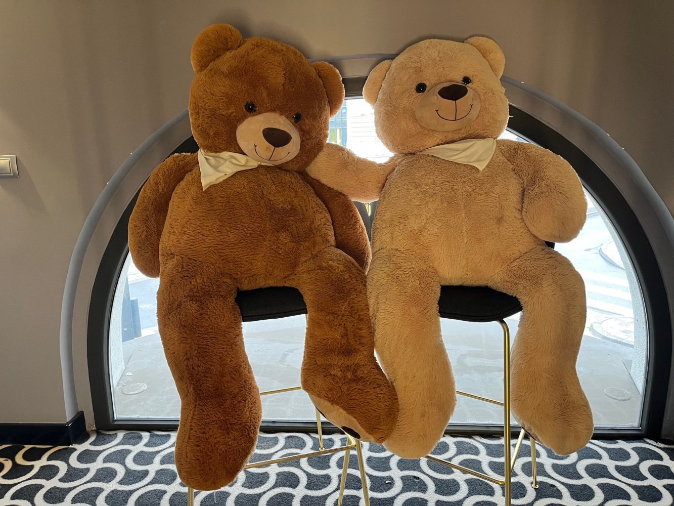 photos-peluches
